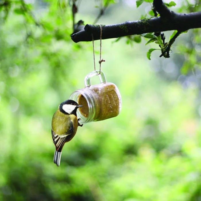 1 x Vogelerdnussbutter im Glas zum hängen Futterhaus Vogelhaus FB 830