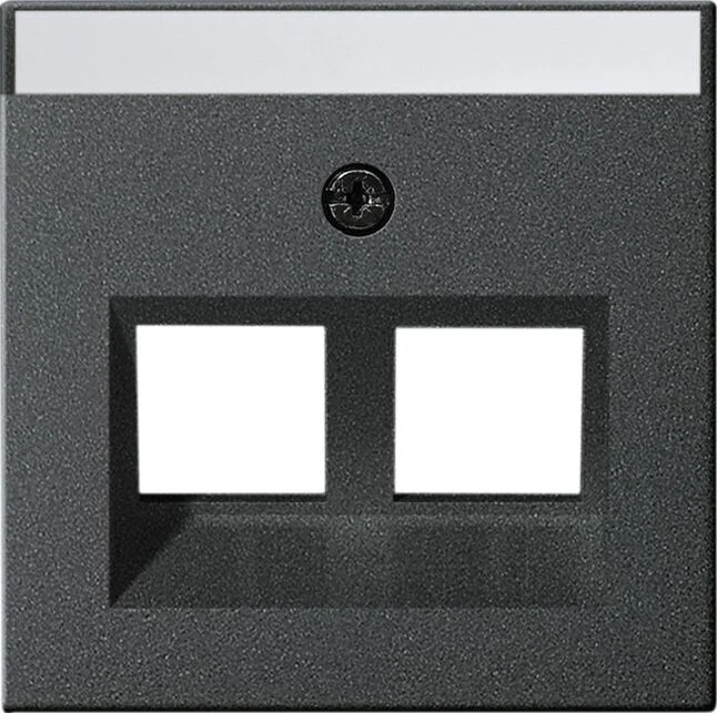 Abdeckung 30° + BSF für ModJack 2fach System 55 anthrazit