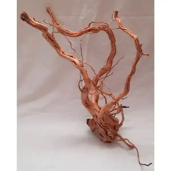 Amtra Drachenwurzel, Dragon Skin L 09