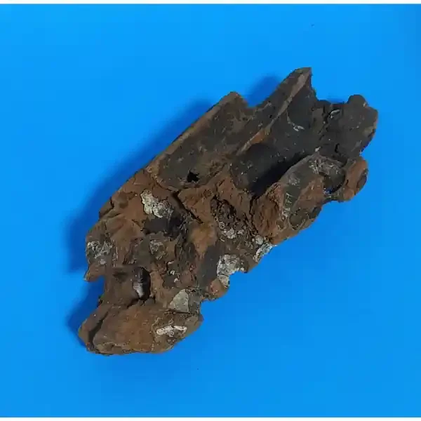 Aquadeco Wabenholz / Drachenholz XS 305