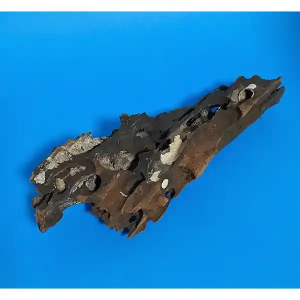 Aquadeco Wabenholz / Drachenholz XS 309