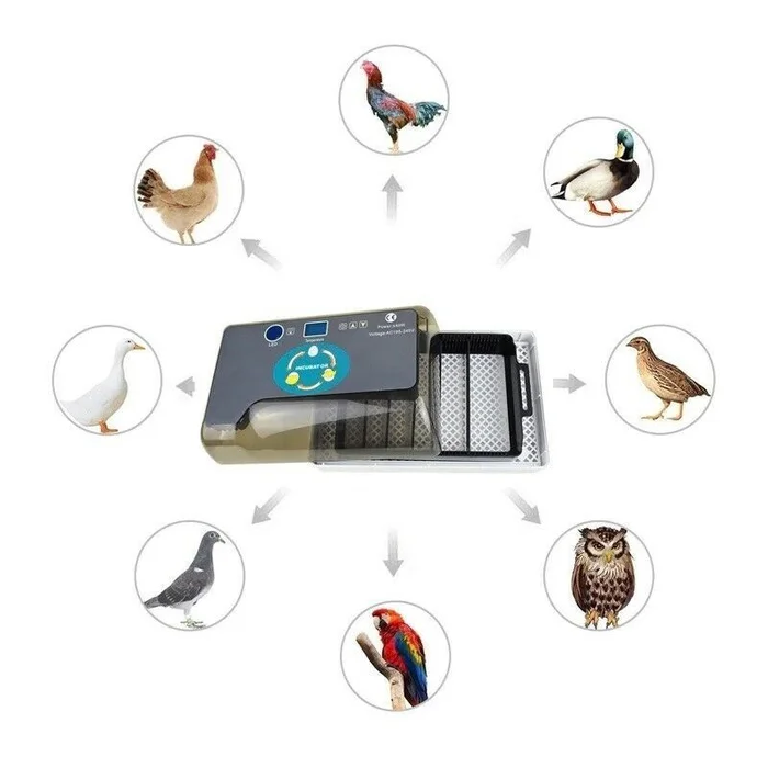 Berta 12 Vollautomatischer Brutkasten/ Inkubator/ Brüter/ Brutmaschine/ Incubator