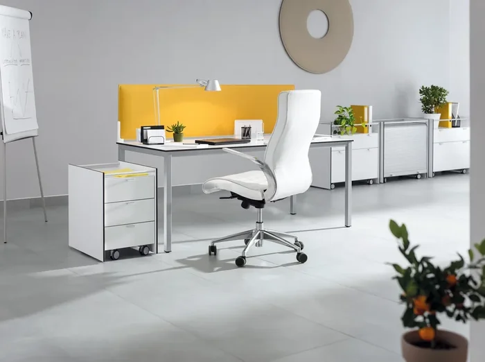 Bodenfliese Supra Hellgrau 40x80cm Rektifiziert