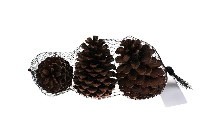 Deko Tannenzapfen, 12 St. (natur)