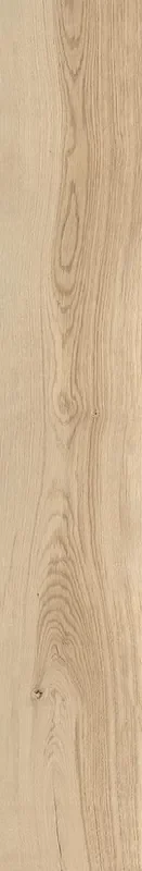 Emil 20Twenty 20×120 cm Industrial rekt. R10B