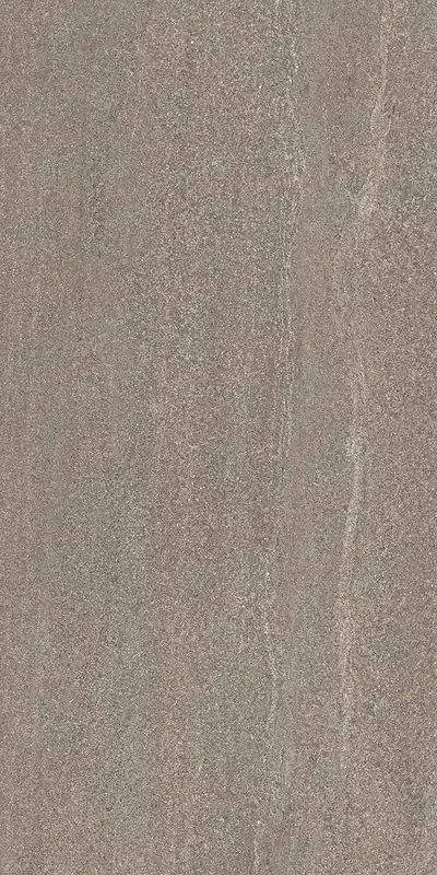 Ergon Elegance Pro dark grey 45×90 cm Feinsteinzeug rektifiziert