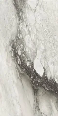 Étoile de Rex 40×80 cm Étoile renoir matte