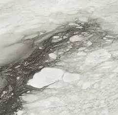 Étoile de Rex 60×60 cm Étoile renoir matte