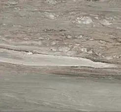 Étoile de Rex 60×60 cm Étoile tropical glossy