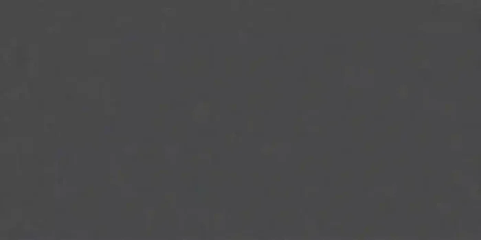 FKEU Kollektion Architekt Schwarz Fliese 30×60 R10/B Art.-Nr. FKEU0992522