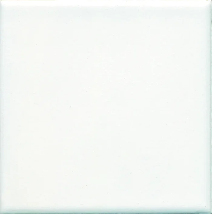 FKEU Kollektion Bodenconcept Weiss Matt Fliese 20×20 R10/B Art.-Nr. FKEU0991210