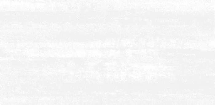 FKEU Kollektion Gemes White Matt Wandfliese 30X60 Art.-Nr. FKEU0992541