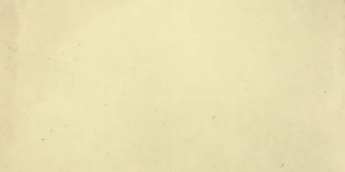 FKEU Kollektion Heritagee Cremebeige Matt Fliese 37×75/1,05 R9 Art.-Nr. FKEU0990398