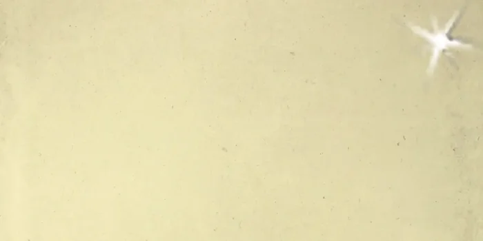 FKEU Kollektion Heritagee Cremebeige Poliert Poliert Fliese 37×75 R9 Art.-Nr. FKEU0990399