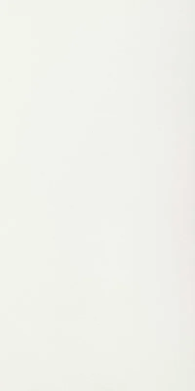 Floorgres B&W Marble White 60×120 cm naturale RT