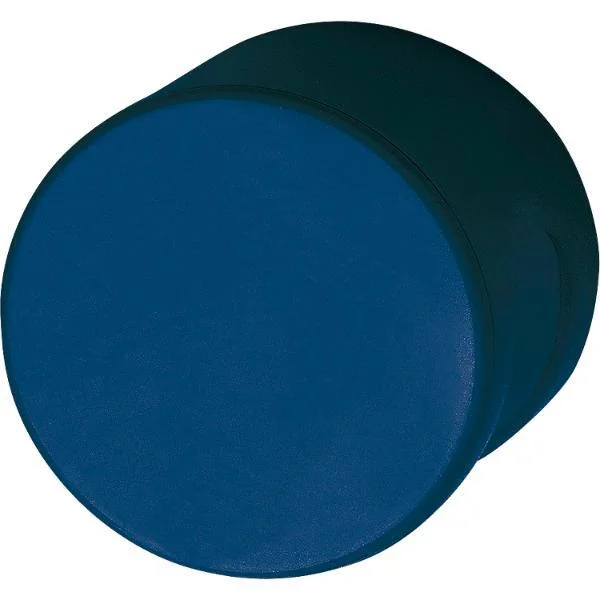 HEWI #F19513.0004 50 Türknopf 122.23 FK – stahlblau