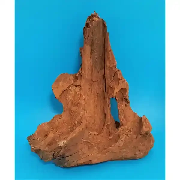 Hobby Mangroven Wurzel M 311