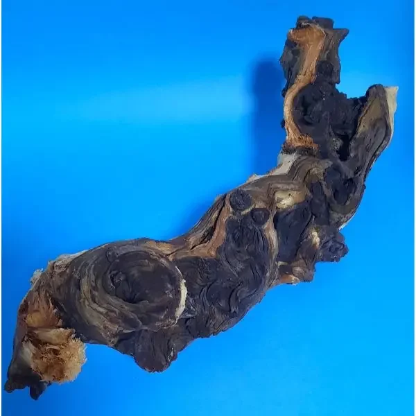 Hobby Mopani Wurzel M 2-farbig 307