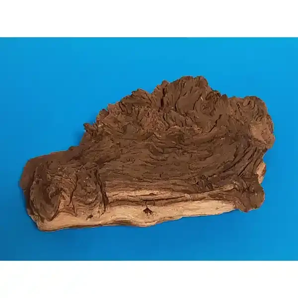 Hobby Mopani Wurzel S 2-farbig 054