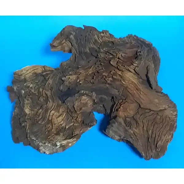 Hobby Mopani Wurzel S 2-farbig 087