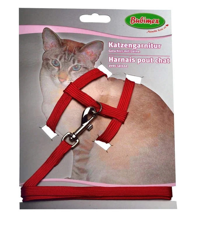 Katzen-Garnitur, Geschirr mit Leine