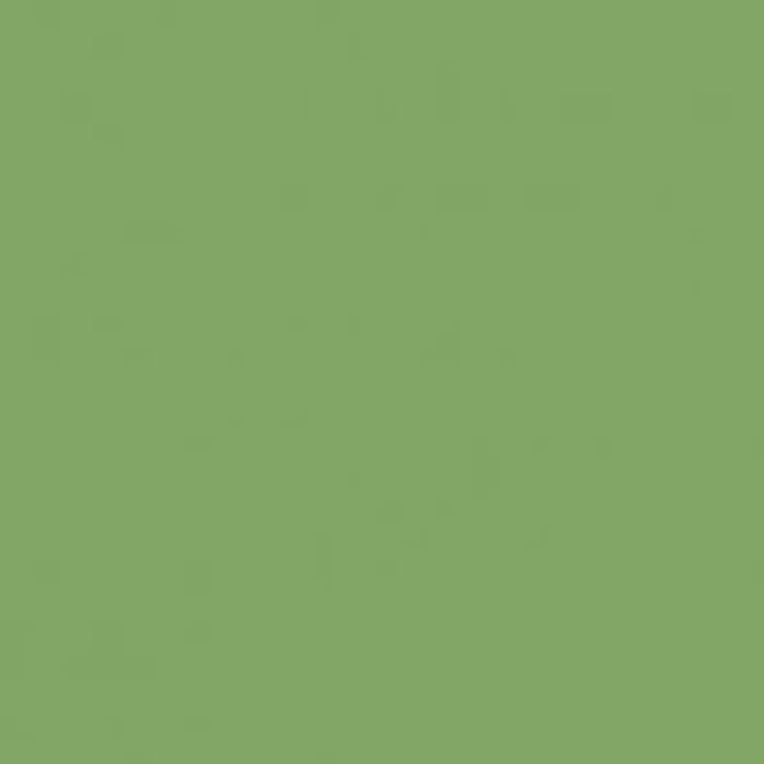 Lasselsberger Color One Grün Glänzend Wandfliese 20×20 Art.-Nr. WAA1N456