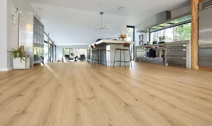 Meister Design next DD 500 S Turmeiche creme 7120