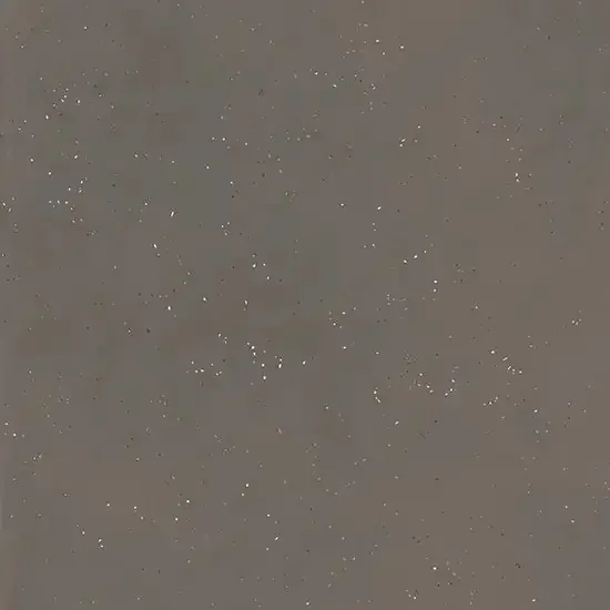 Minimalistische Fliesen in Retrooptik Nostalgia 120×120 Caviar