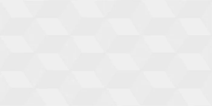 Muster 30×60 cm für Villeroy & Boch Metalyn Titan White Matt/Rek Matt Dekorfliese 30×60 Art.-Nr. BM02 1581