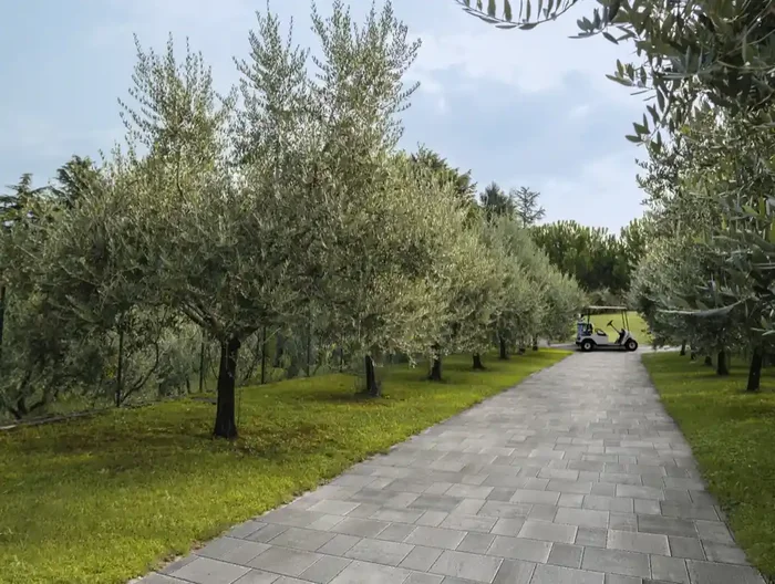 Muster max. 30×60 cm für CIR Reggio Nell Emilia Due Maesta Bodenfliese 10X20 Art.-Nr. 1059366