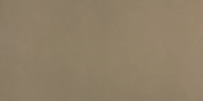 Musterfliesenstück für FKEU Kollektion Neutrajon Schlamm Bodenfliese 30×60 R9 Art.-Nr. FKEU002104