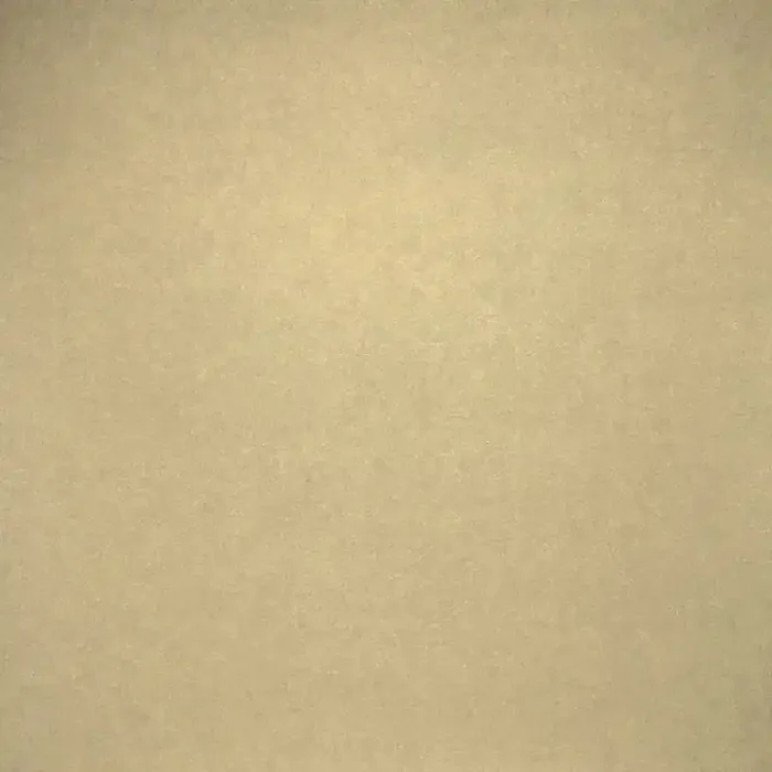 Musterfliesenstück für FKEU Kollektion Zoomion Schlamm Matt Bodenfliese 60×60 R10 Art.-Nr. FKEU001908