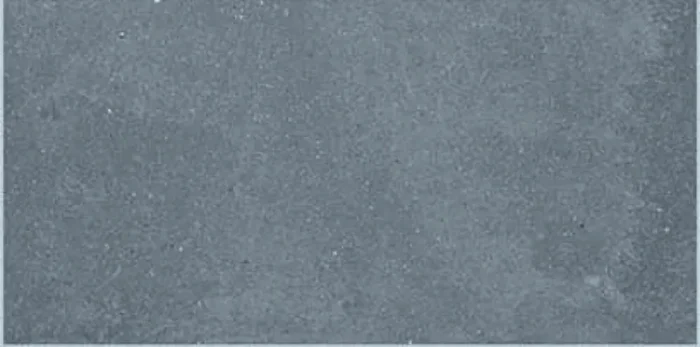 Musterfliesenstück für Italgraniti Square District Sq Bodenfliese 30×60/1,0 Art.-Nr. SQ0563L