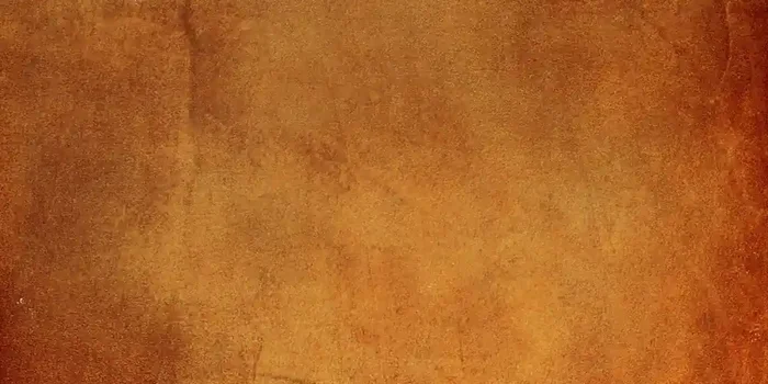 Musterfliesenstück für Unicom Starker Le Cere Bordeaux Bodenfliese 30×60 Art.-Nr. 4088