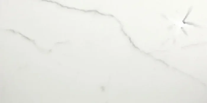 Musterfliesenstück für Villeroy & Boch New Tradition Bianco Bodenfliese 30×60 Art.-Nr. 2394 ML0L