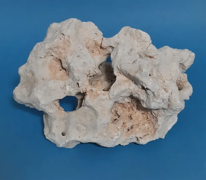 Orbit Lochgestein Sansibar M 012