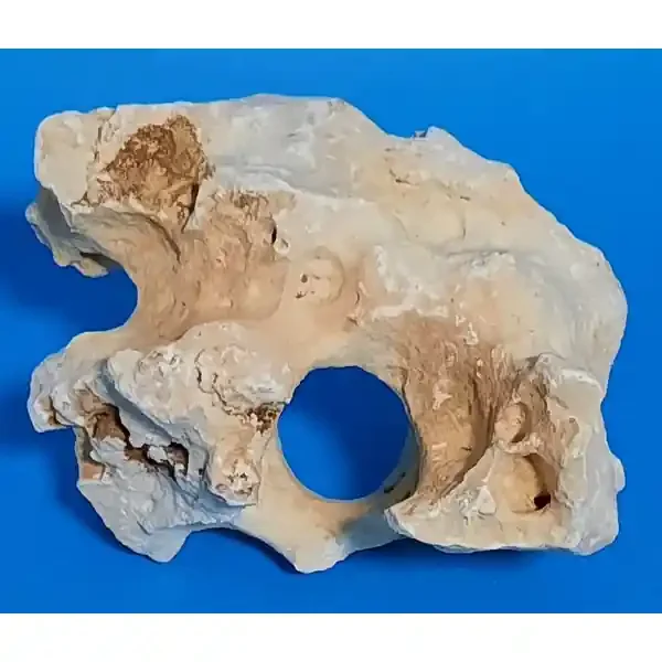 Orbit Lochgestein Sansibar S 035