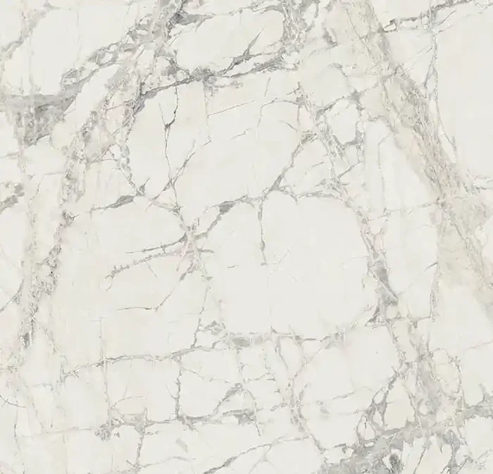 Prexious of Rex 60×60 cm Mountain Treasure glossy