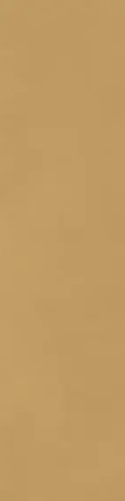 Ragno Decora Senape 30×120 cm rektifiziert