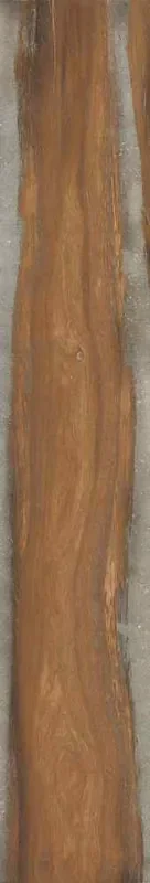 Rondine Infusion Nut Matt Fliese 24×150 R10 Art.-Nr. J90221