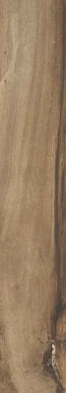 Rondine Sherwood Walnut Matt Fliese 7,5×45 R10 Art.-Nr. J90492