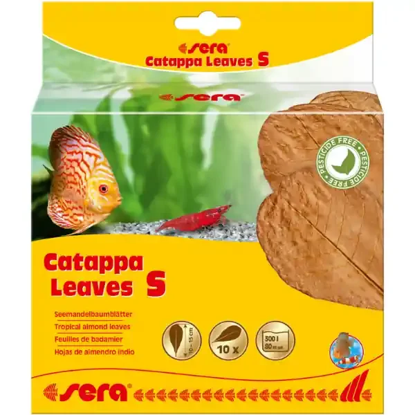 Sera Catappa Leaves S 10 Stück 10-15cm Natürliche Wasseraufbereitung
