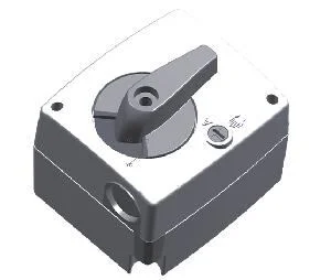 Stellmotor mit Anbausatz 230V/50Hz,6Nm