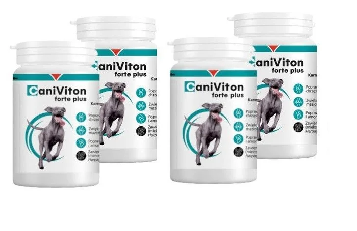 Vetoquinol Caniviton Forte Plus – 4×90 Tabletten(360 Tabletten)