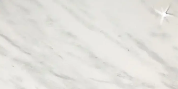 Villeroy & Boch Tribute Weiss Poliert Fliese 30×60 Art.-Nr. 2394 SE0L