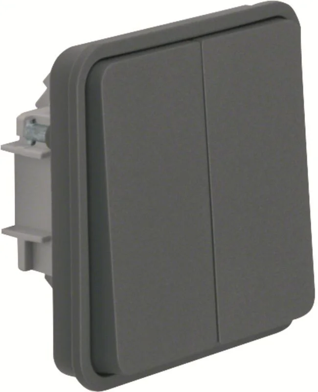 W.1 Serienschalter-Einsatz mit Wippe 2fach Ap/Up, grau matt