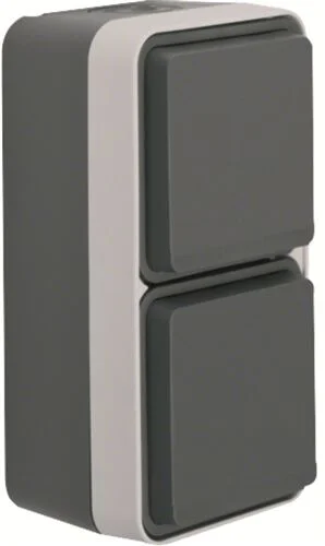 W.1 SSD 2fach senkrecht mit erh. Berührungsschutz grau/lichtgr.matt