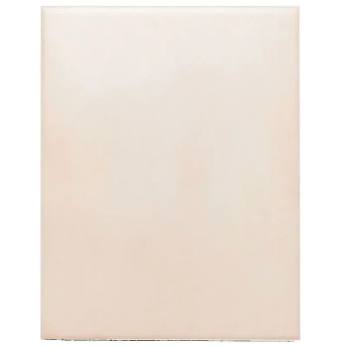 Wandfliese Villeroy & Boch E5163 1330 D681 beige 20×25 cm I.Sorte