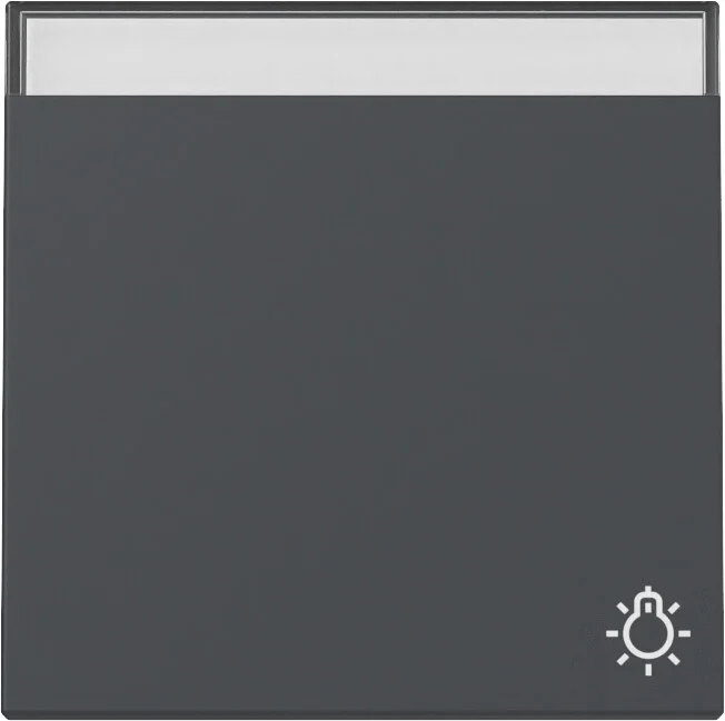 Wippe Symb. Klingel + BSF System 55 Anth razit