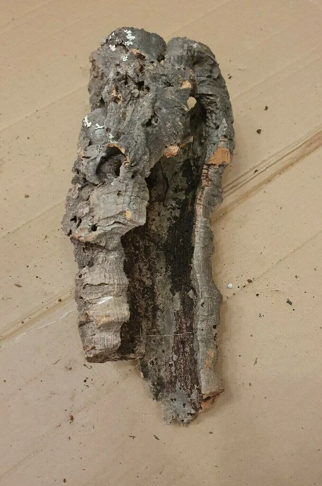 Zierkorkrinde 29x14x15cm – Korkröhre Korkrinde Rinde Kork Reptilien, Terrarium